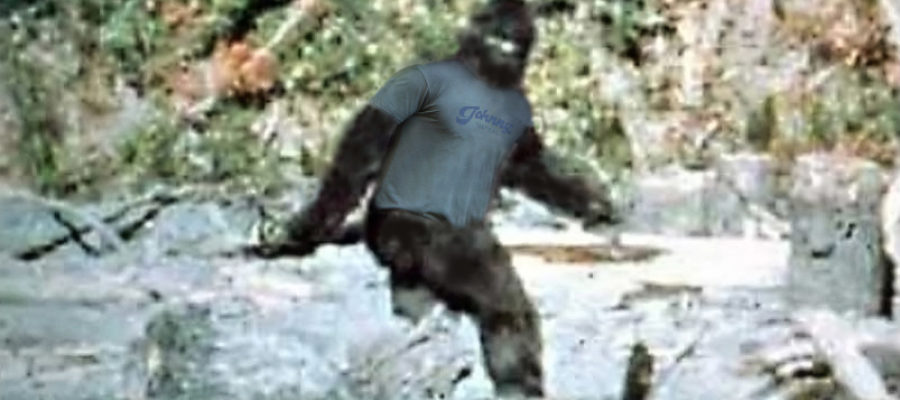 Finding Bigfoot: The Ever Elusive Work-Life Balance