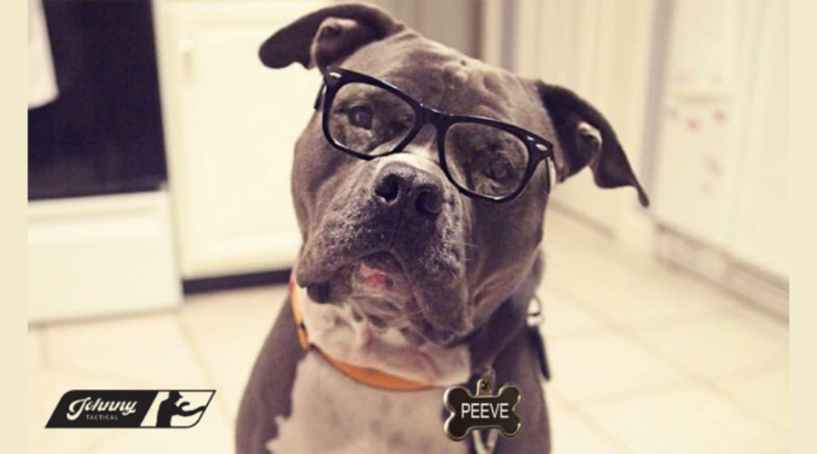 Pet Peeve Volume I: To Ask Or Not To Ask, That Is The Question