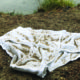 The Sandy Underwear Paradox